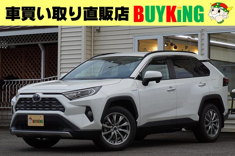 RAV4 ハイブリッドG ４WD パールホワイト